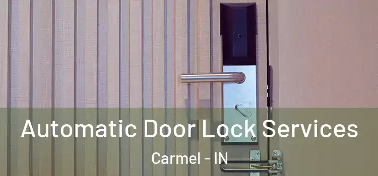 Automatic Door Lock Services Carmel - IN