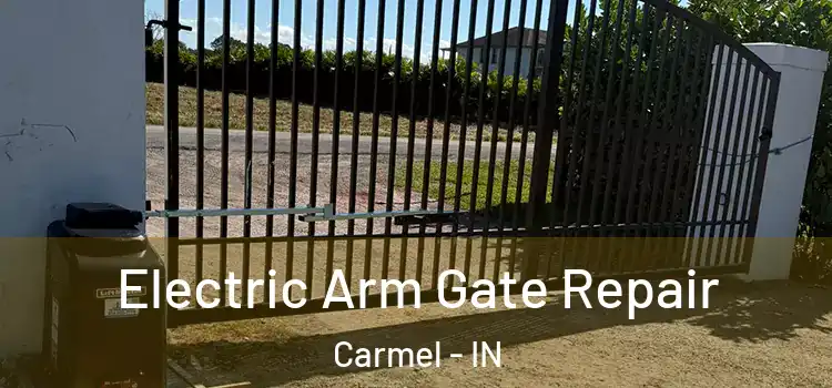  Electric Arm Gate Repair Carmel - IN