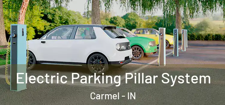 Electric Parking Pillar System Carmel - IN