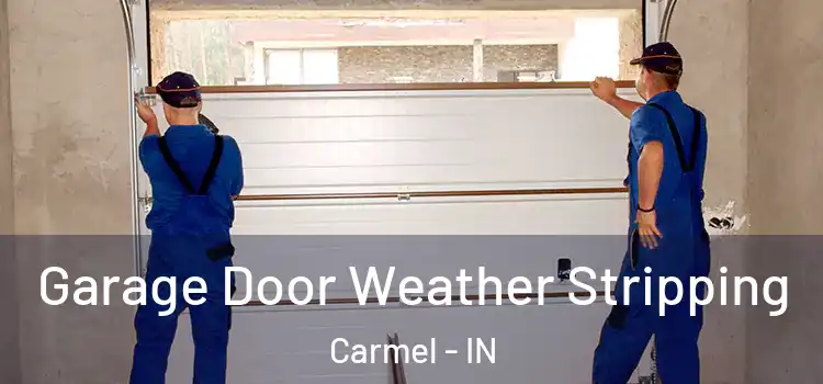  Garage Door Weather Stripping Carmel - IN