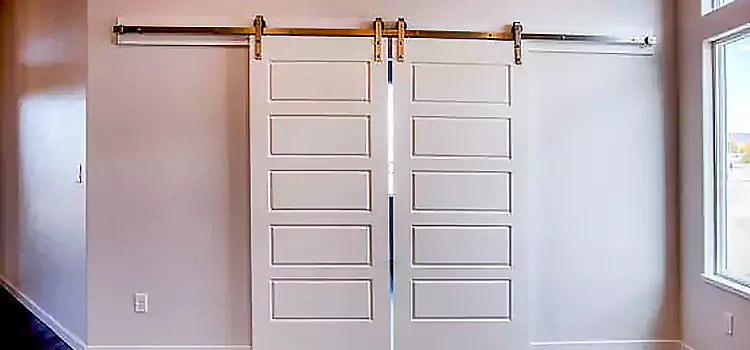 Glass Barn Door with Installation Hardware Kit Carmel