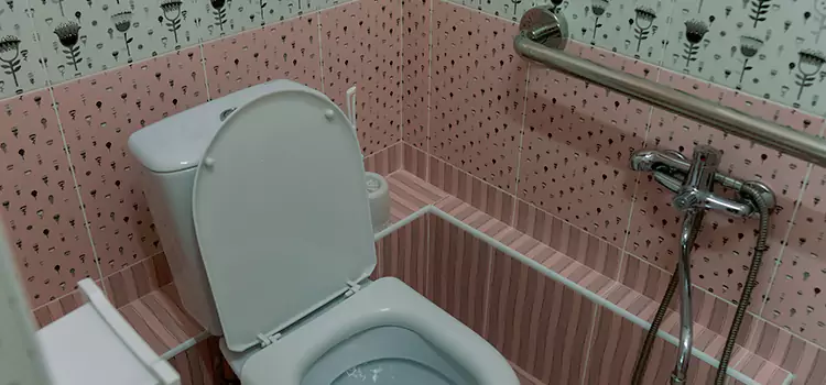 Meeting Diverse Needs With Accessible Restroom Solutions in Carmel, IN