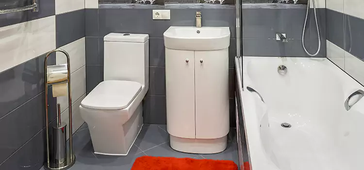 Hansgrohe Shaving Mirror Carmel