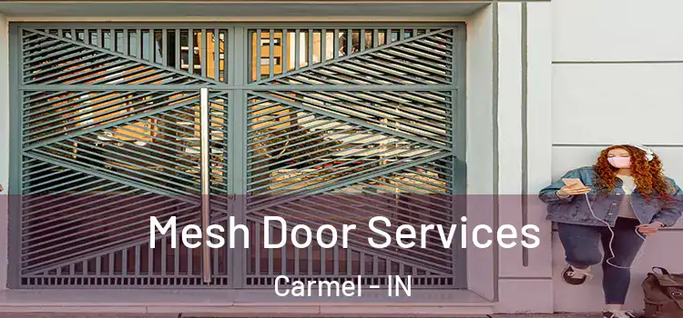 Mesh Door Services Carmel - IN
